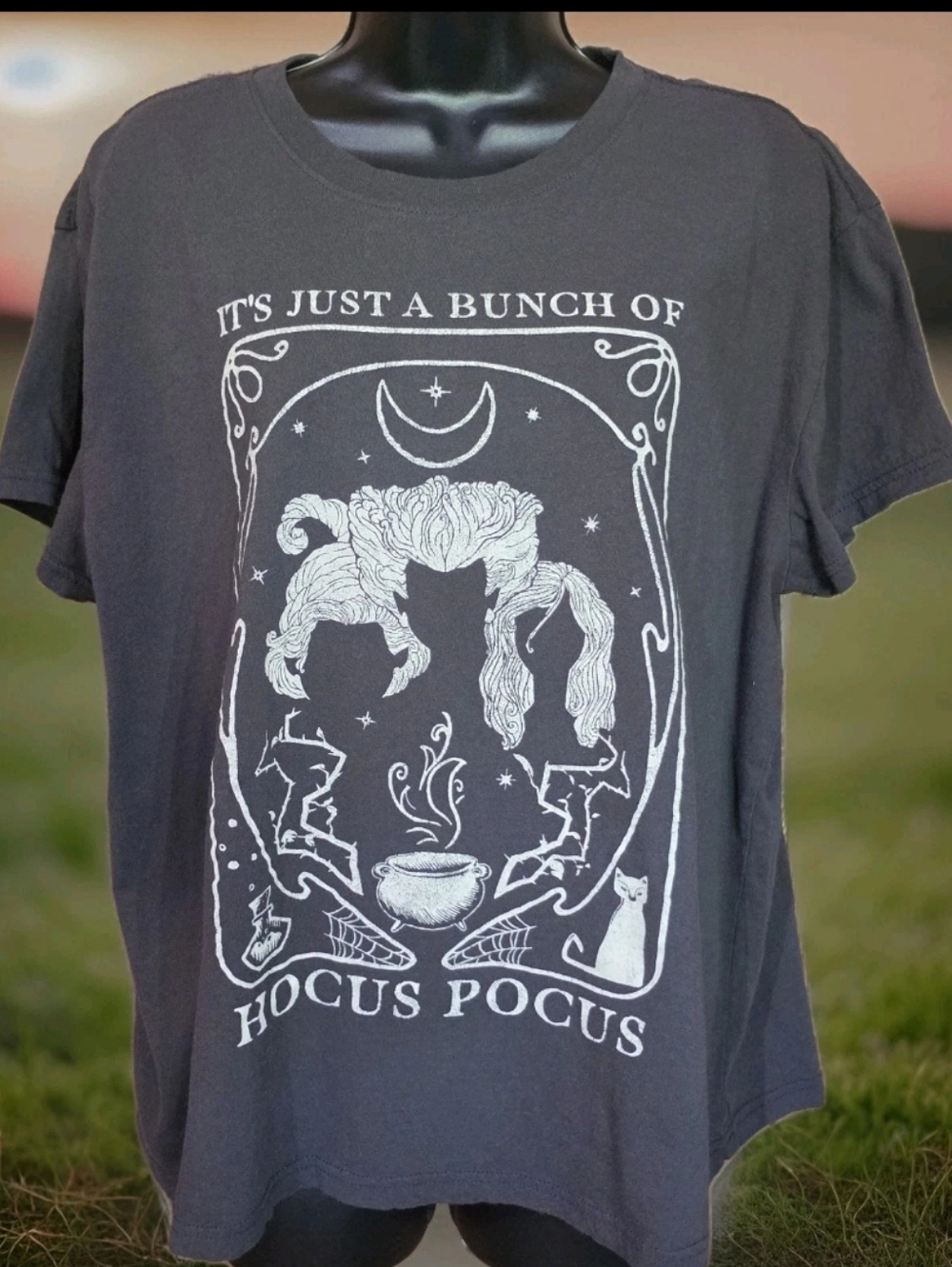 Disney Hocus Pocus Tshirt Womens XL Disney Brand Gray Witch Cat Cauldron Movie